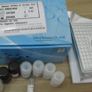 T réglementation cellule humaine (Treg) ELISA Kit
