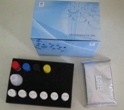 Sertés vaszkuláris sejtadhéziós molekula 1 (VCAM-1) ELISA Kit